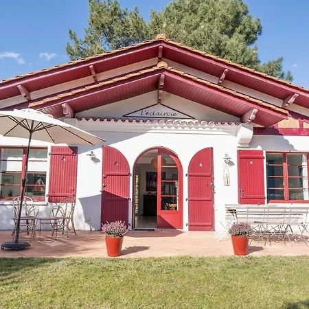 Typique Avec A Pied Arcachon